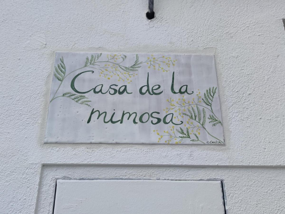 La Casa De La Mimosa Apartment Cordoba Exterior photo
